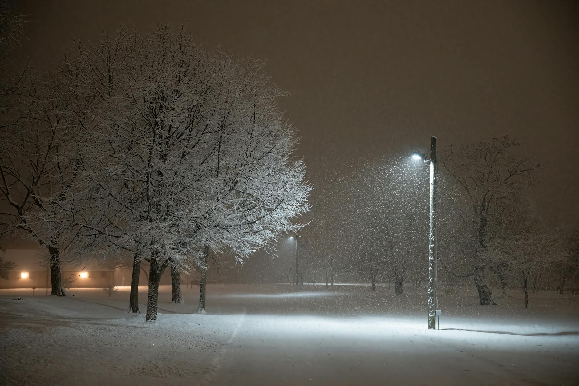A serene winter scene in Stamford's Cove Island Park during a snowfall, illuminated by a streetlight.